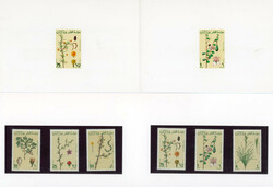 Qatar Qatar: 1991 (20 June). Plants presentation pack. Sg. 853/858. ...