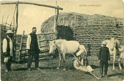 Russia Russia – Bashkortostan: Milking Mare, Ufa postcard. (B31536)