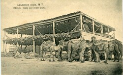 6620: Usbekistan - Postkarten
