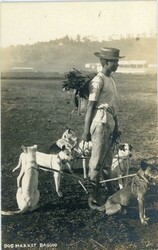 Postcards Philippines: Unused photo postcard titled ‘Dog Market ...