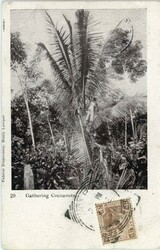 4340: Malaysia