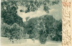 SingaporeSingapore: 1905 postcard titled ‘Botanical Garden’ to ...