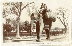 1600: Afghanistan