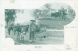 PostcardsChina: Unused two view postcard of Donkey Carrying Load and ...