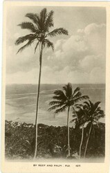 Fiji Fiji: Unused photo postcard titled ‘By Reef and Palm’. ed. ...