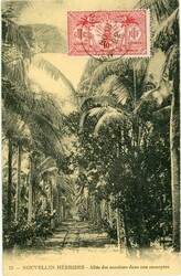 New Hebrides - Vanuatu New Hebrides – Vanuatu: 1922 postcard titled ...