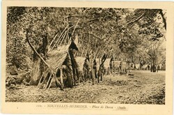 4535: New Hebrides