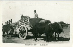 Pakistan Pakistan: Photo postcard of Bullock Cart to St. Ives (B33228)