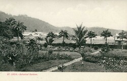 St. Lucia St. Lucia: Unused postcard titled ‘Botanical Gardens’. ...