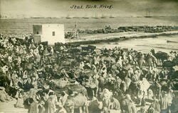 Postcards Italy: Unused Italo-Turco War photocard of Camel Market ...