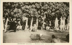 Picture 1 for Lot from Balkanphila