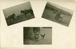 Nigeria - Lagos Nigeria: 1913 multi picture of photo postcard from ...
