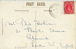 Nigeria - Lagos Nigeria: 1909 postcard titled ‘Futani cattle, ...