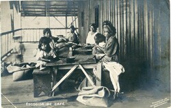 Guatemala Guatemala: 1914 photocard titled ‘Escogida de Cafe’ to ...