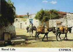 6755: Cyprus