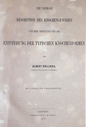 40.10.100: Bücher - Autografen, Bücher, Naturwissenschaften und Technik