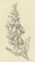 150: Grafiken
