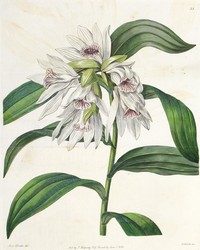 150: Grafiken