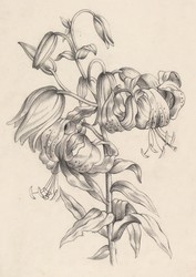 150: Grafiken