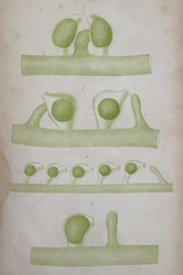 40.10.100: Bücher - Autografen, Bücher, Naturwissenschaften und Technik