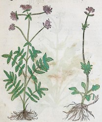 40.10.100: Bücher - Autografen, Bücher, Naturwissenschaften und Technik