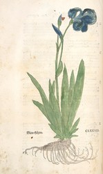 40.10.100: Bücher - Autografen, Bücher, Naturwissenschaften und Technik