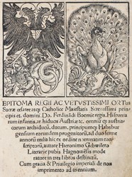 40.10.20: Bücher - Autografen, Bücher, Genealogie - Heraldik - Politik - Sozialismus - Wirtschaft