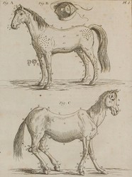 40.10.30: Bücher - Autografen, Bücher, Jagd - Küche - Haushalt - Land und Forstwirtschaft