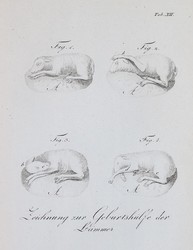 40.10.30: Bücher - Autografen, Bücher, Jagd - Küche - Haushalt - Land und Forstwirtschaft