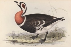 150: Grafiken