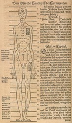 40.10.100: Bücher - Autografen, Bücher, Naturwissenschaften und Technik