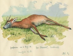 40.10.30: Bücher - Autografen, Bücher, Jagd - Küche - Haushalt - Land und Forstwirtschaft