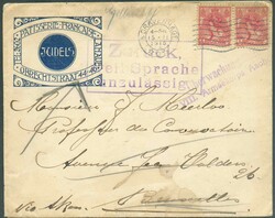 PAYS-BAS N°51(2) - 5c. rose (x2) obl. dc s'GRAVENHAGE 15.II.15 sur ...
