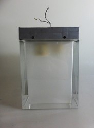 50: Design of the 20th Century