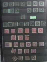 1370020: SBZ Mecklenburg Vorpommern - Sammlungen