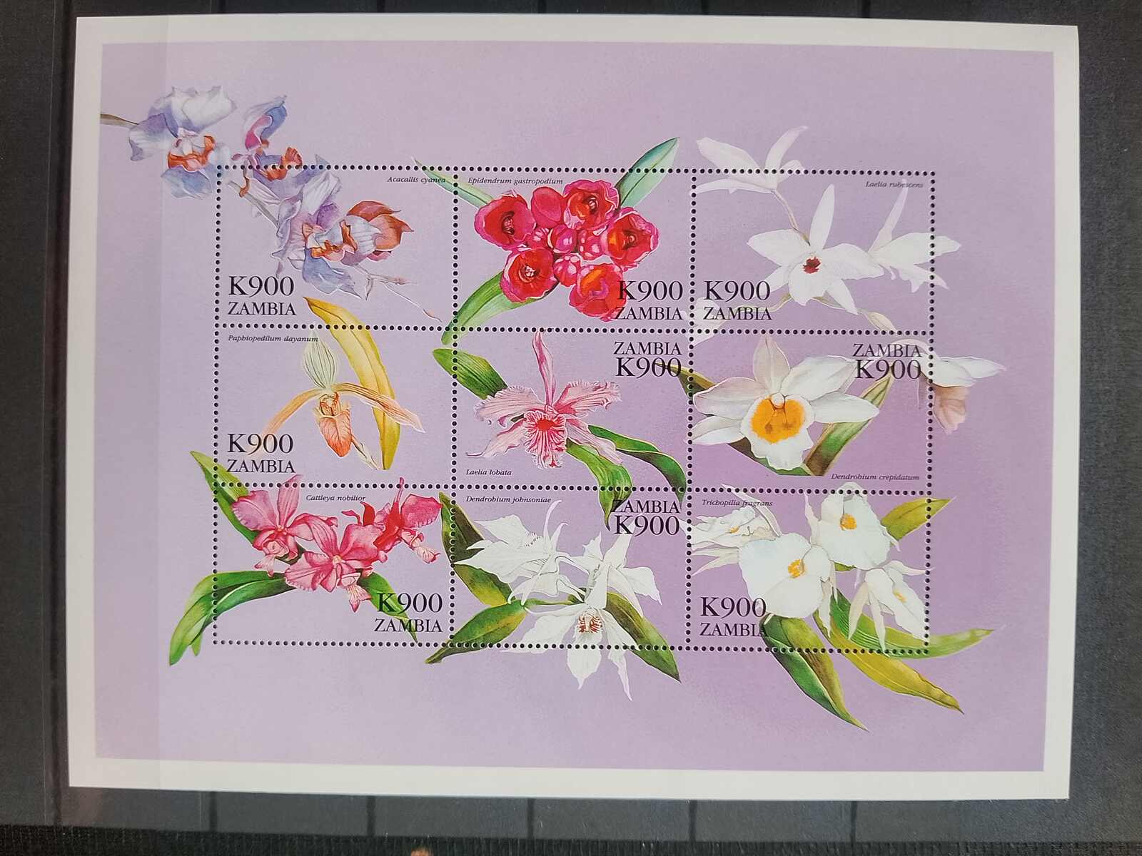 Image 30 for lot number 1332 for Auktionshaus Weiser - 787th Auction