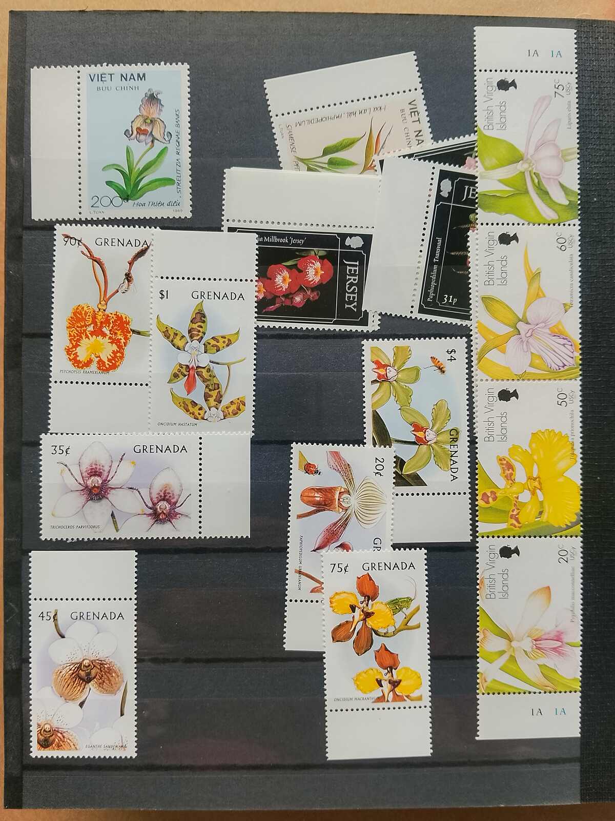 Image 32 for lot number 1332 for Auktionshaus Weiser - 787th Auction