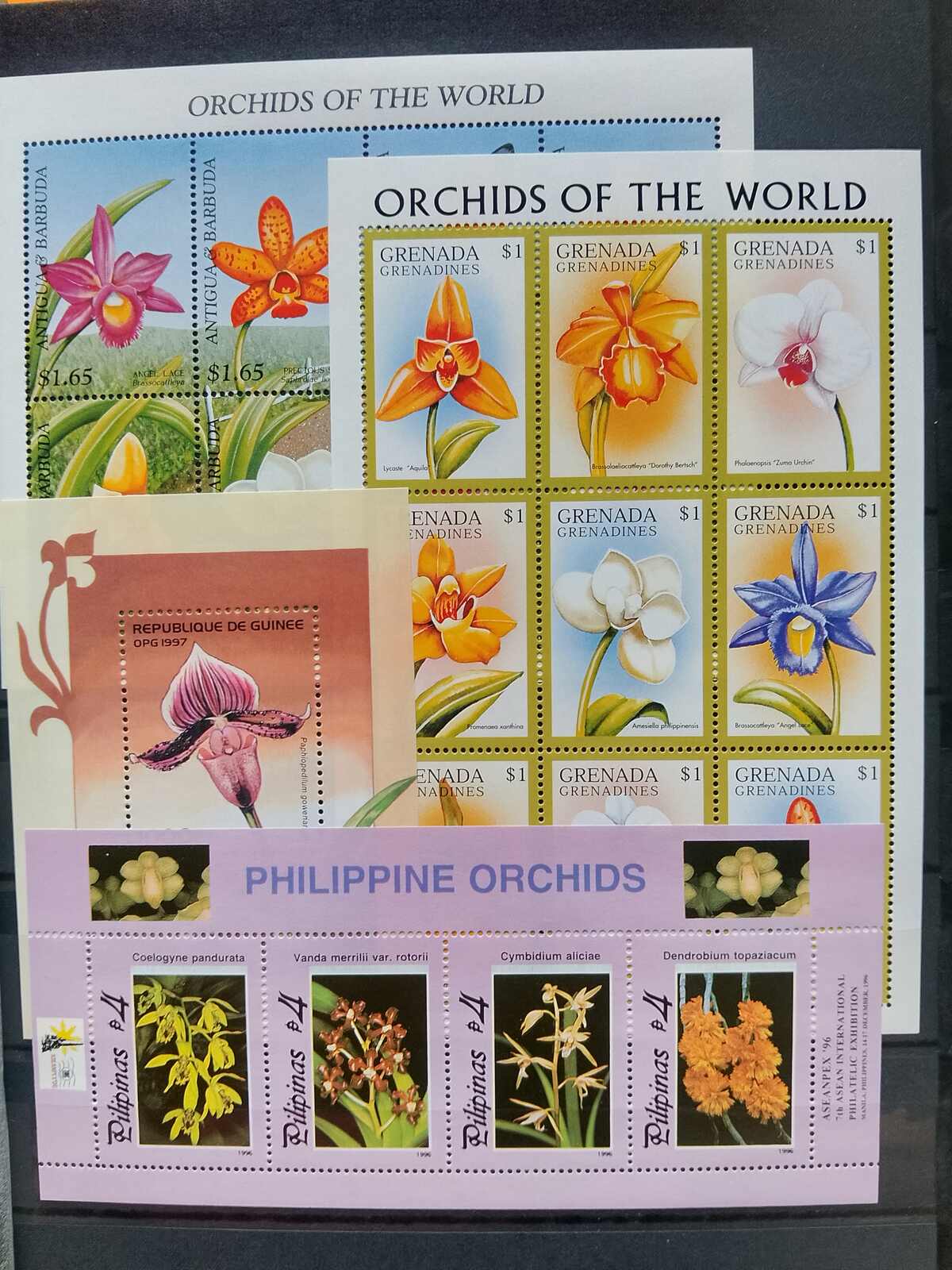 Image 33 for lot number 1332 for Auktionshaus Weiser - 787th Auction