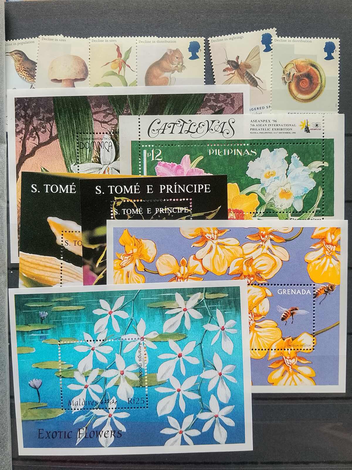 Image 47 for lot number 1332 for Auktionshaus Weiser - 787th Auction