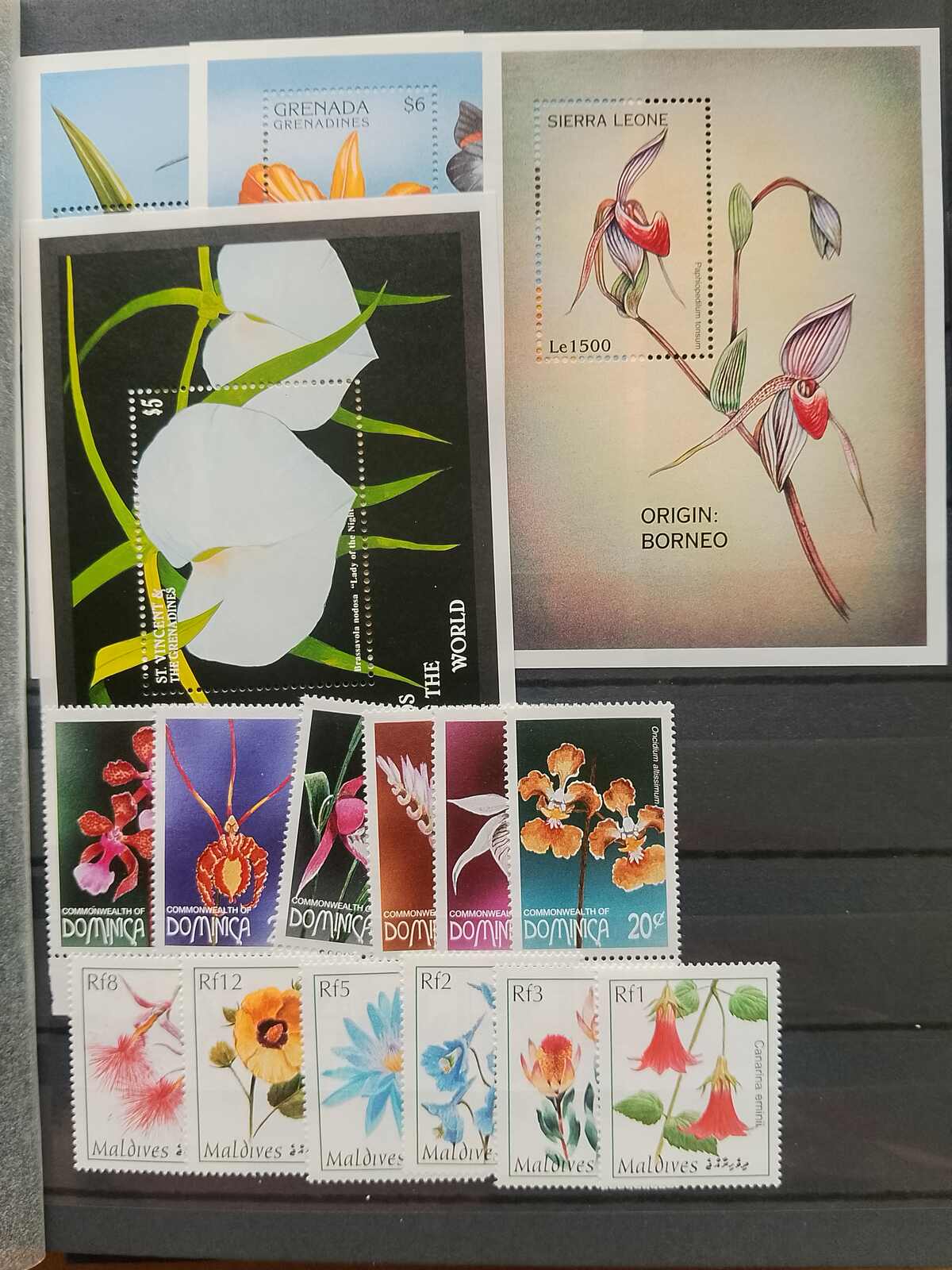 Image 49 for lot number 1332 for Auktionshaus Weiser - 787th Auction