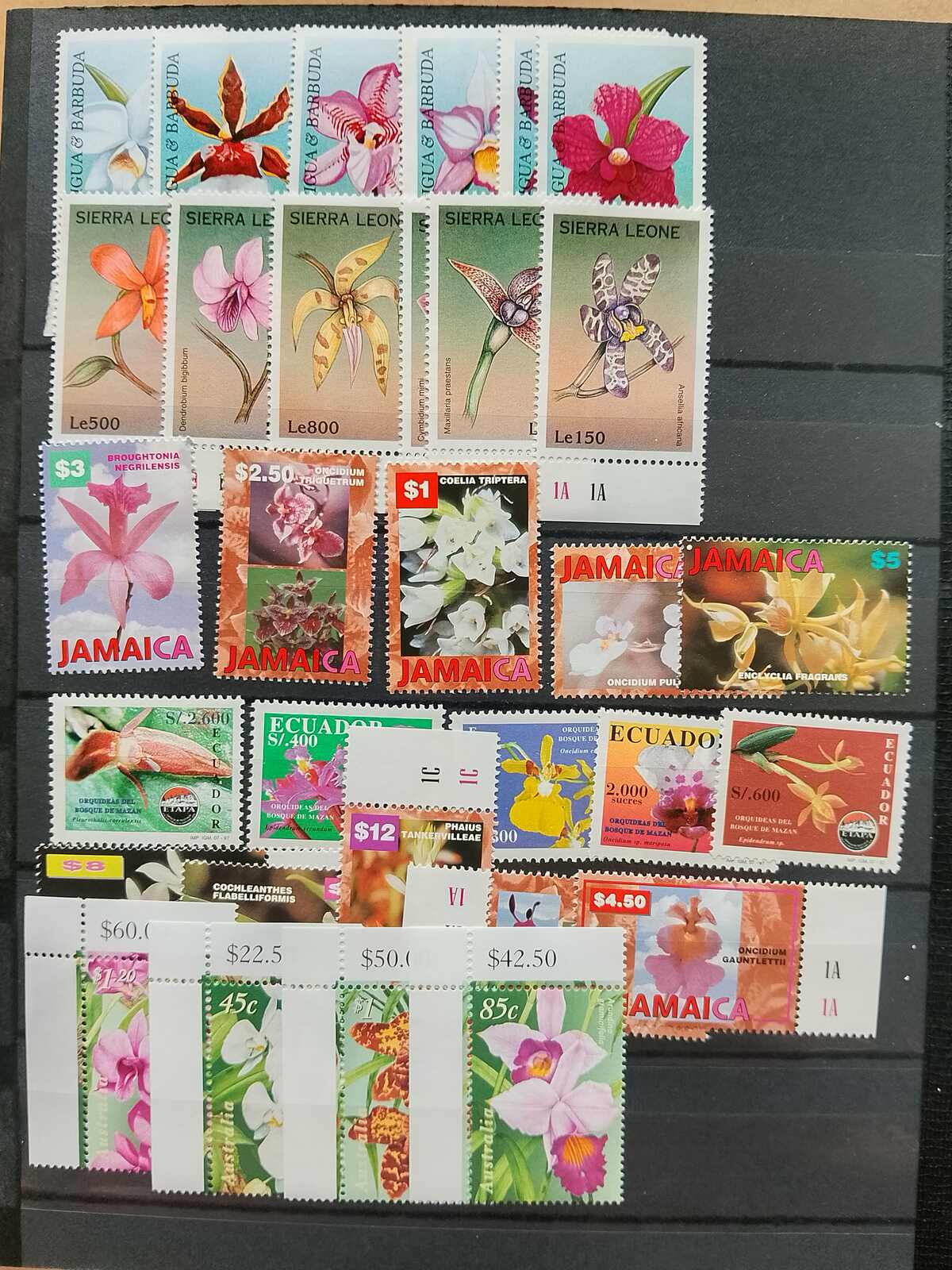 Image 50 for lot number 1332 for Auktionshaus Weiser - 787th Auction