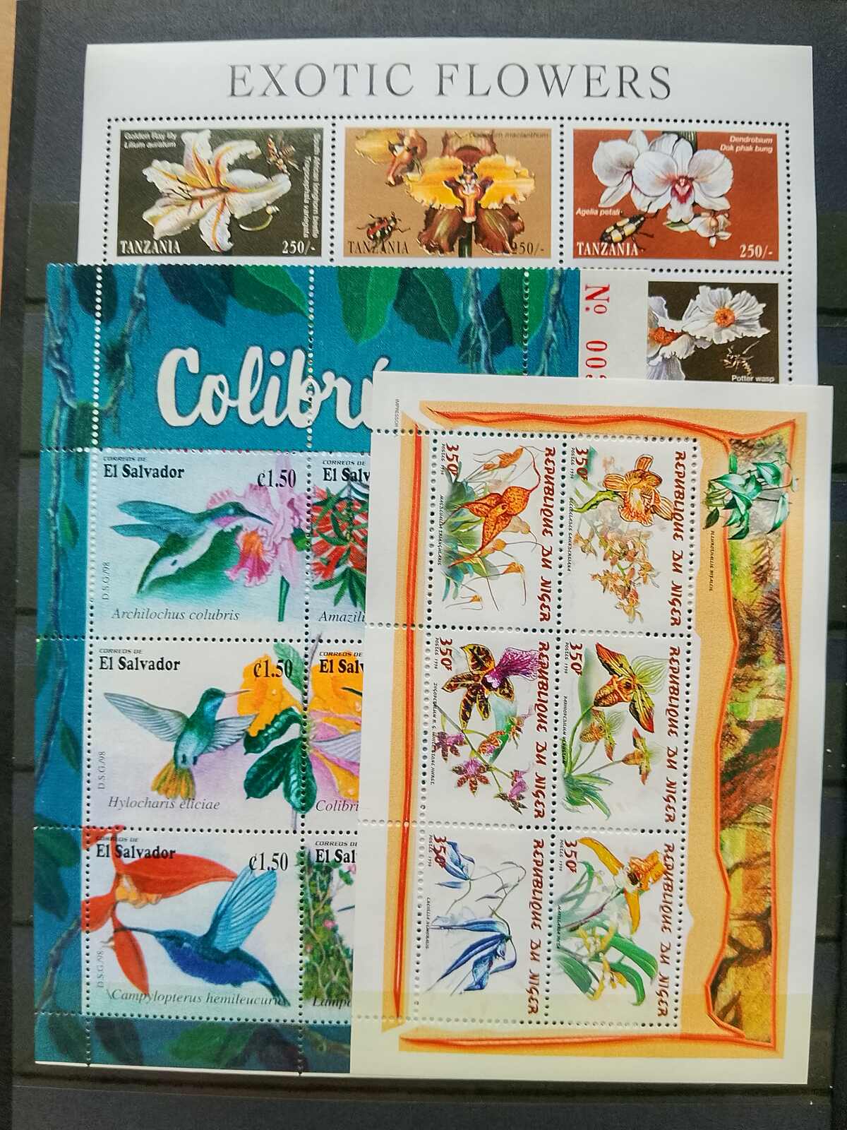 Image 52 for lot number 1332 for Auktionshaus Weiser - 787th Auction