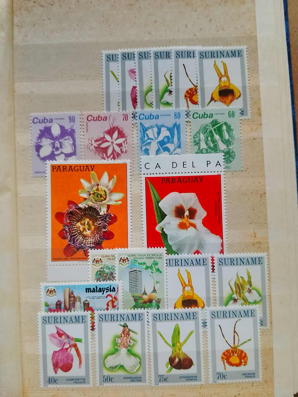 Image 57 for lot number 1332 for Auktionshaus Weiser - 787th Auction