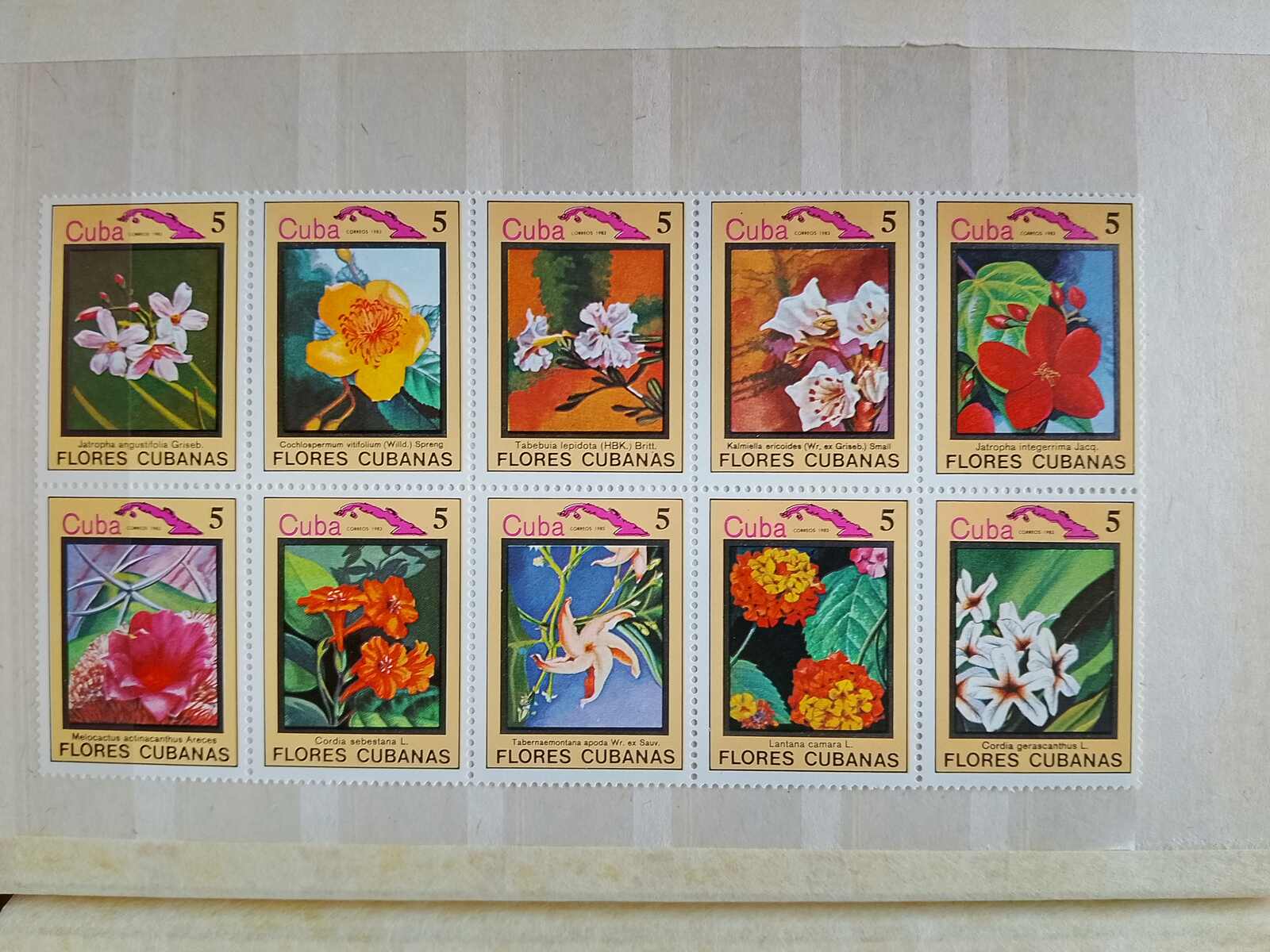 Image 58 for lot number 1332 for Auktionshaus Weiser - 787th Auction