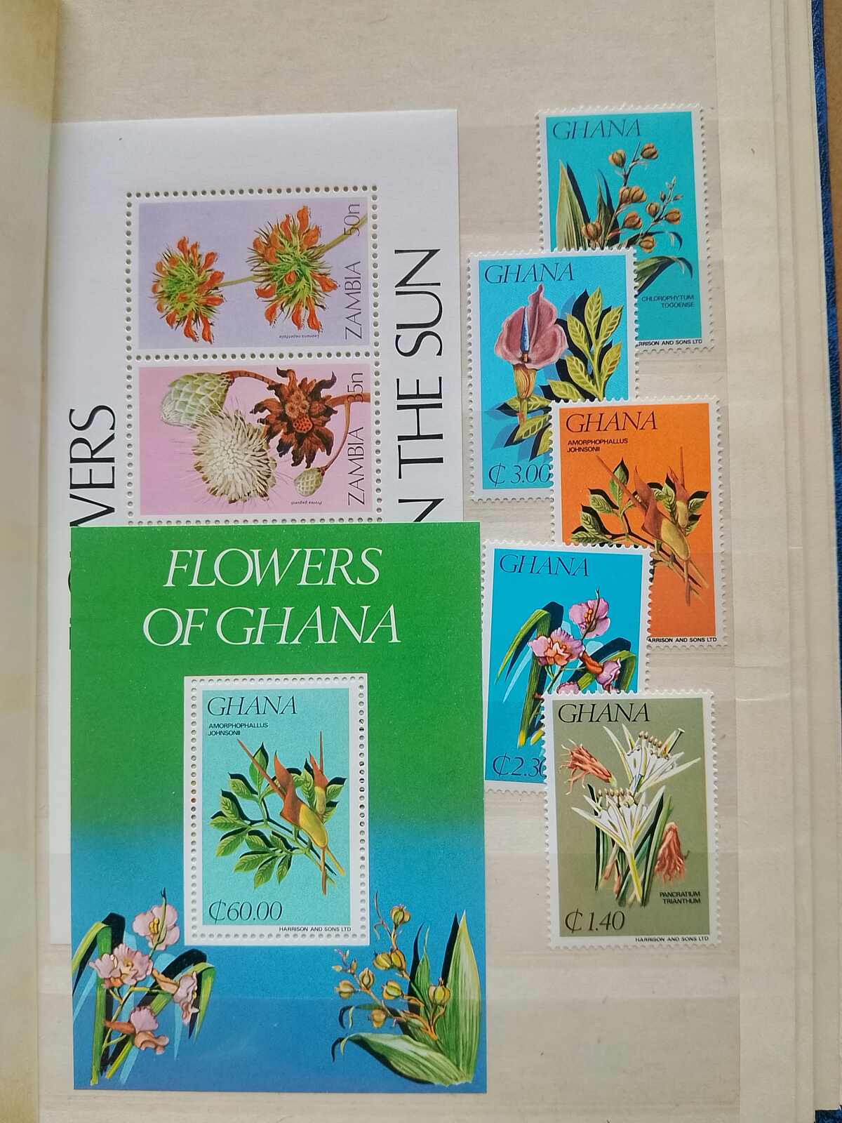 Image 61 for lot number 1332 for Auktionshaus Weiser - 787th Auction