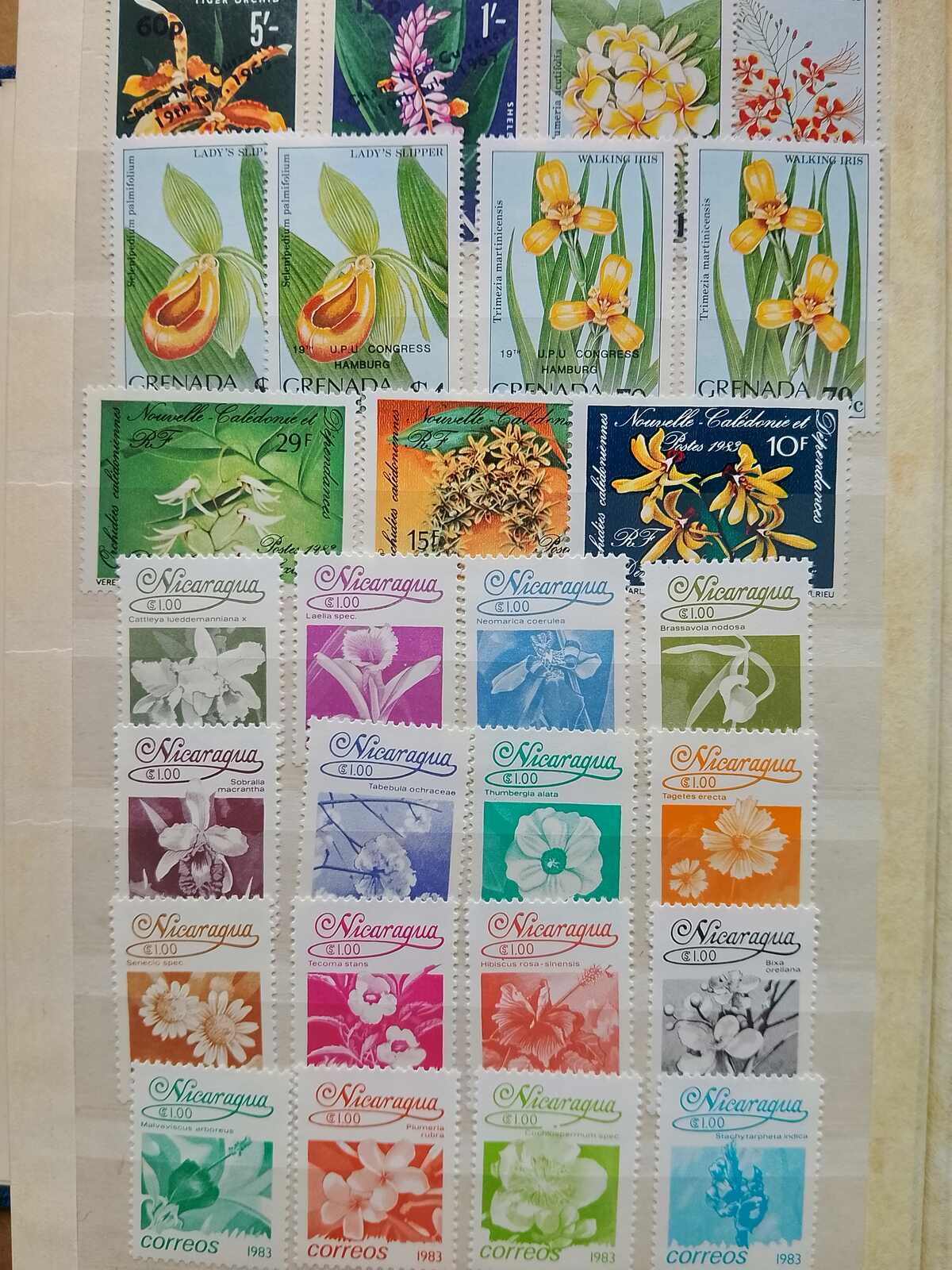 Image 64 for lot number 1332 for Auktionshaus Weiser - 787th Auction