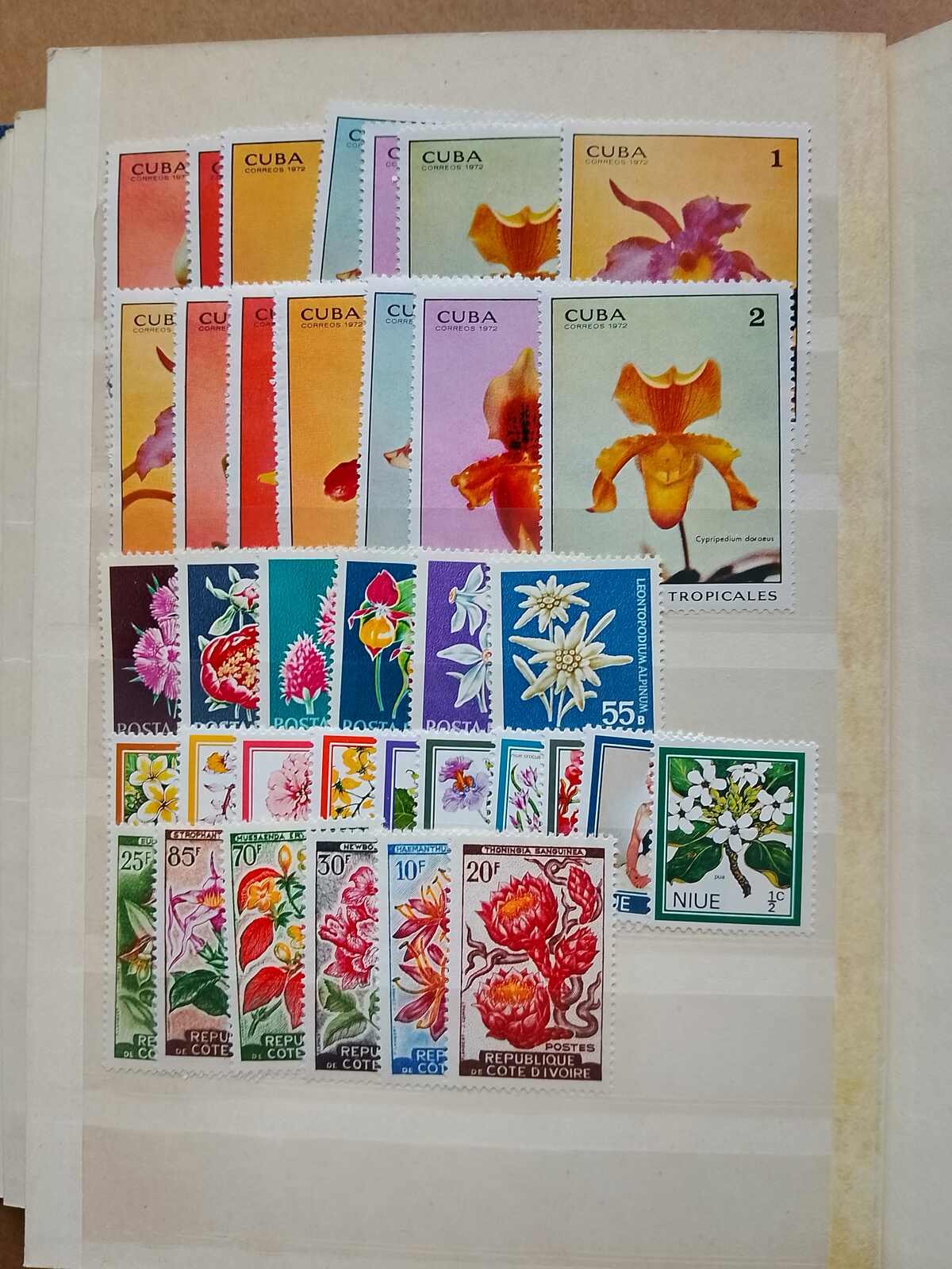 Image 68 for lot number 1332 for Auktionshaus Weiser - 787th Auction