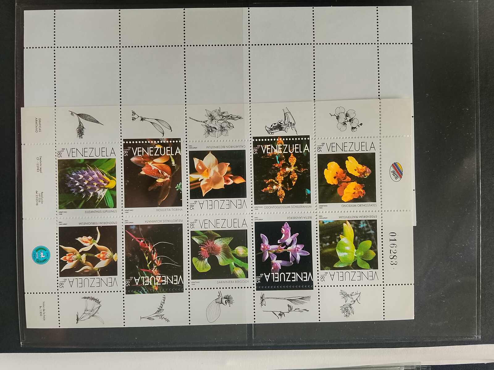 Image 70 for lot number 1332 for Auktionshaus Weiser - 787th Auction