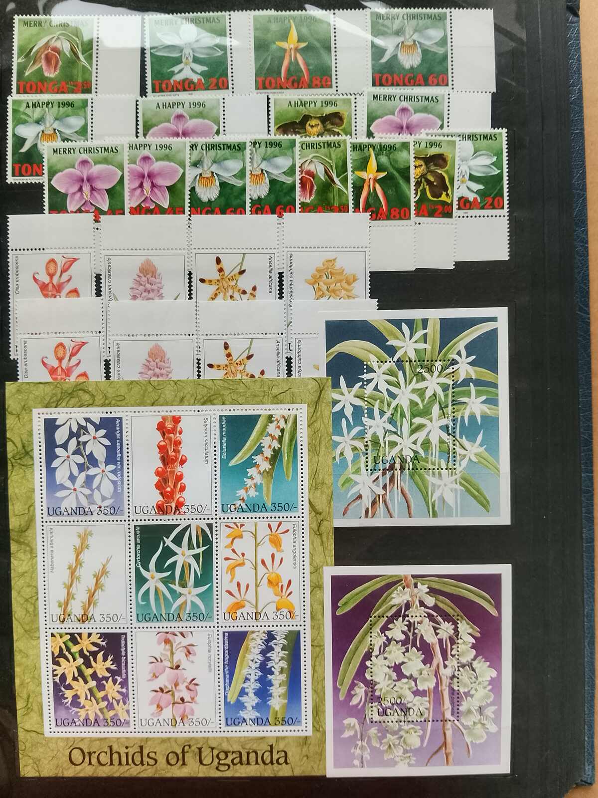 Image 83 for lot number 1332 for Auktionshaus Weiser - 787th Auction