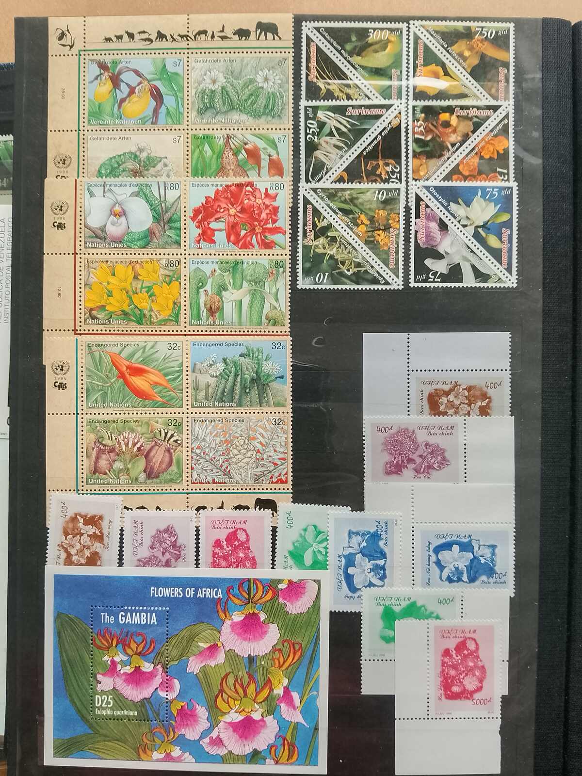 Image 86 for lot number 1332 for Auktionshaus Weiser - 787th Auction